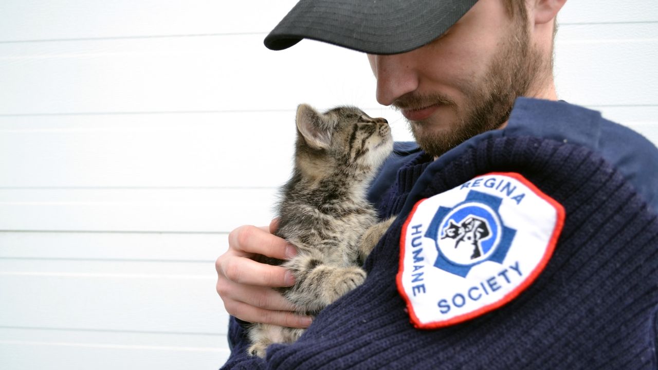 Regina Humane Society Partner Image
