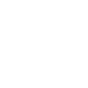 Rules Icon Final